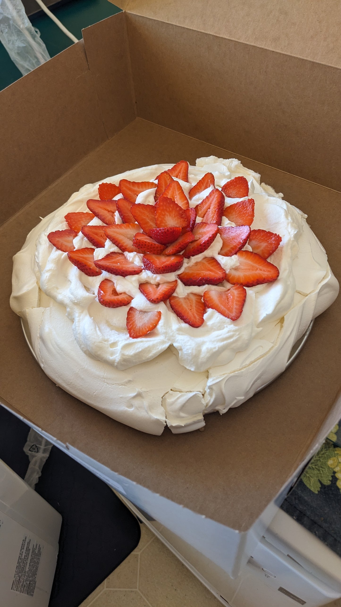 Crikey! That's a Pav!