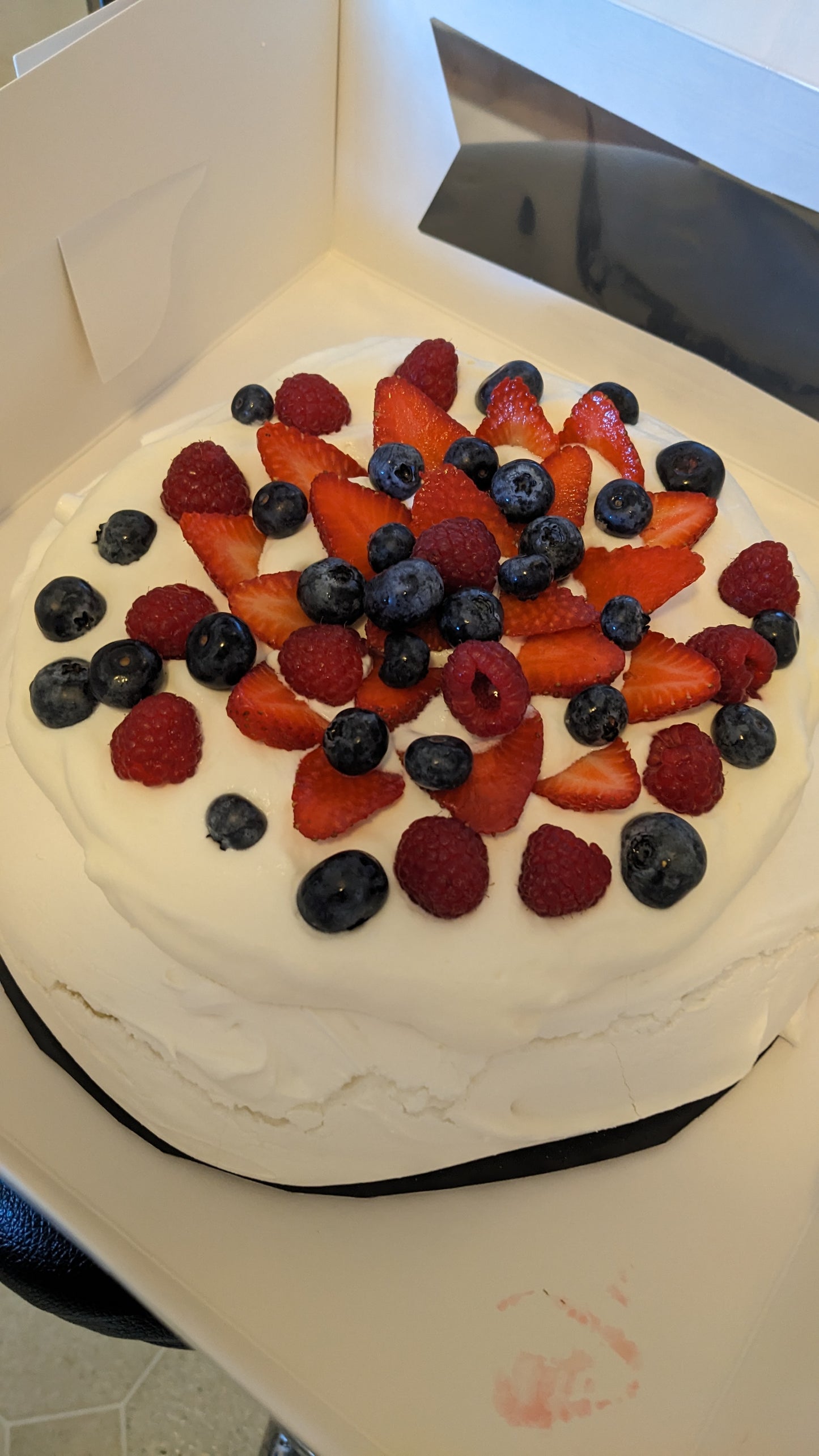 Family Pavlova
