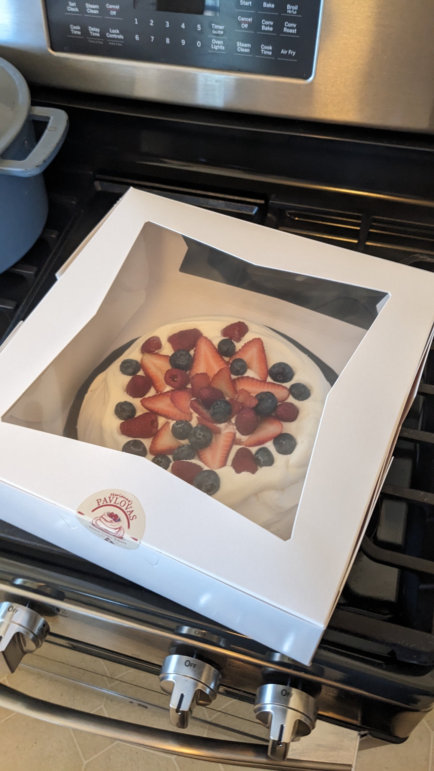 Family Pavlova