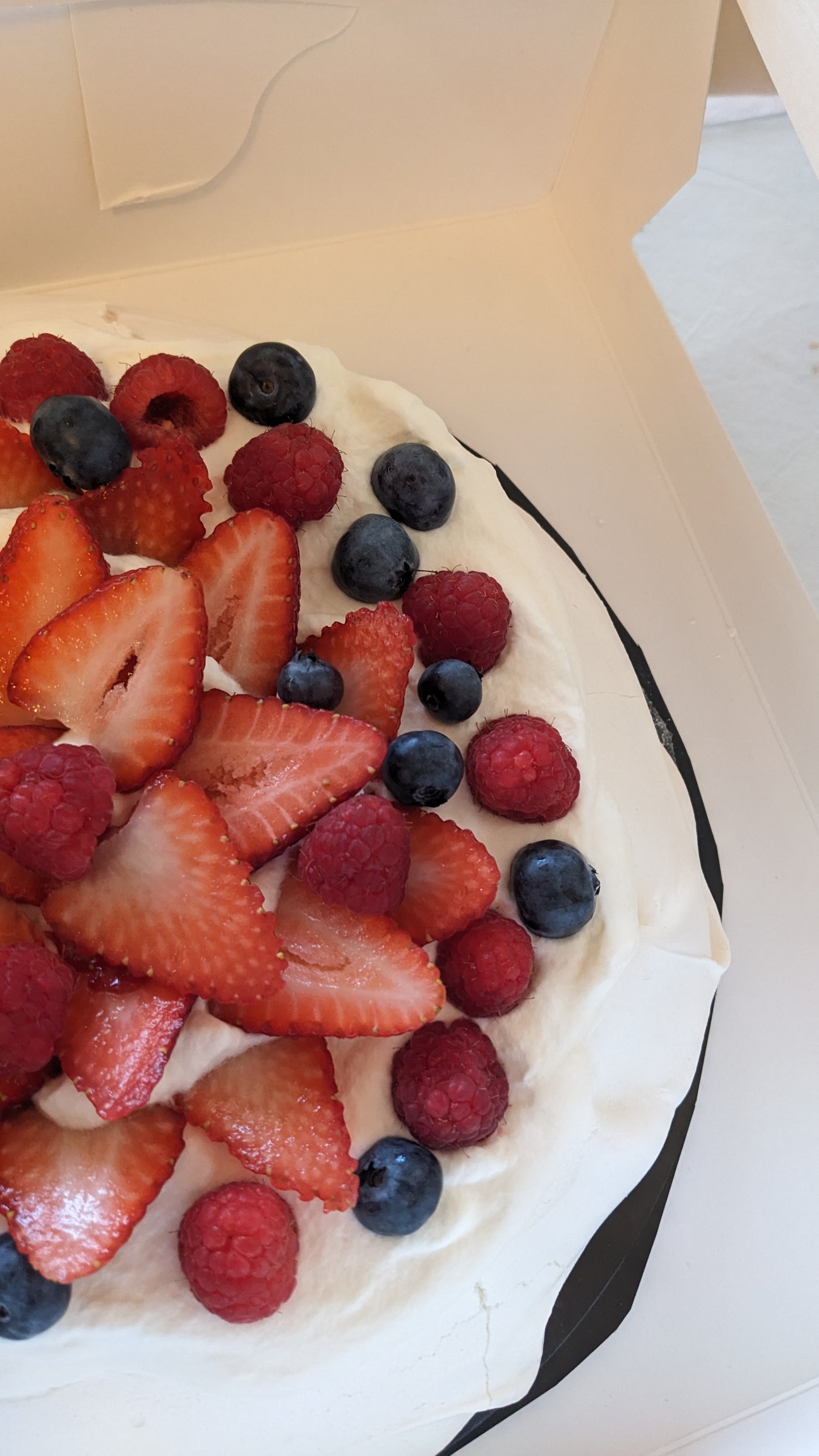 Family Pavlova