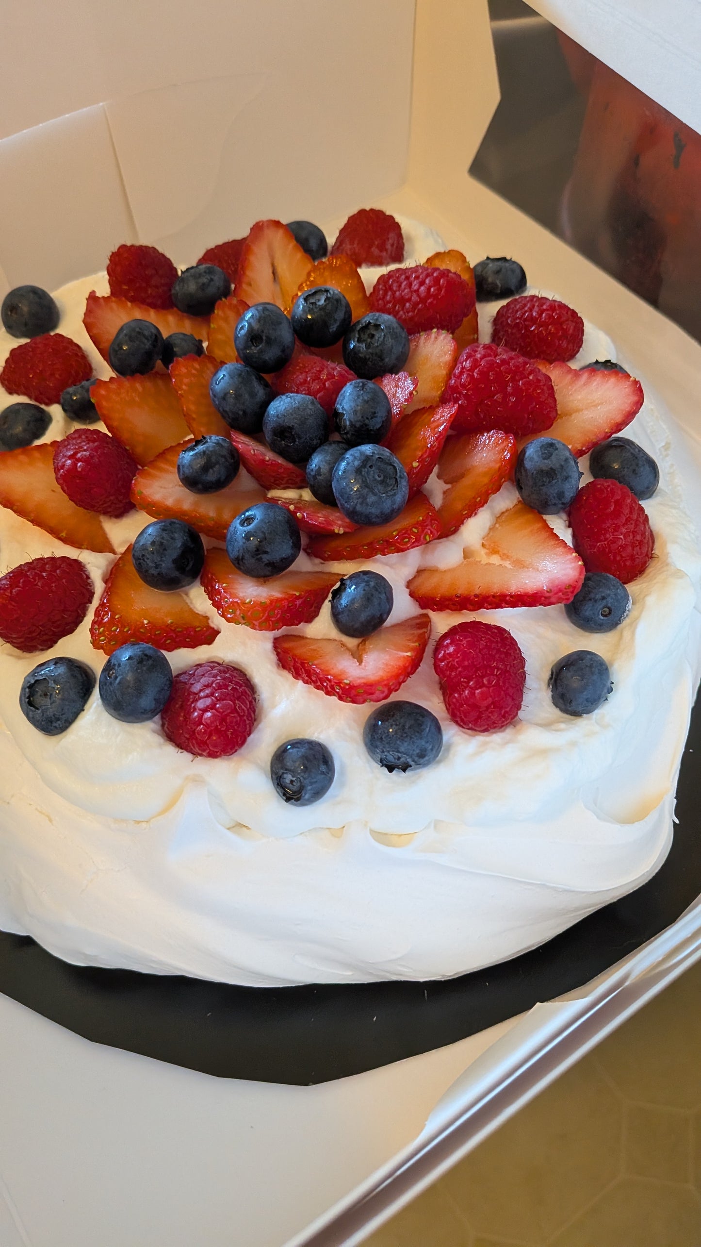 Family Pavlova