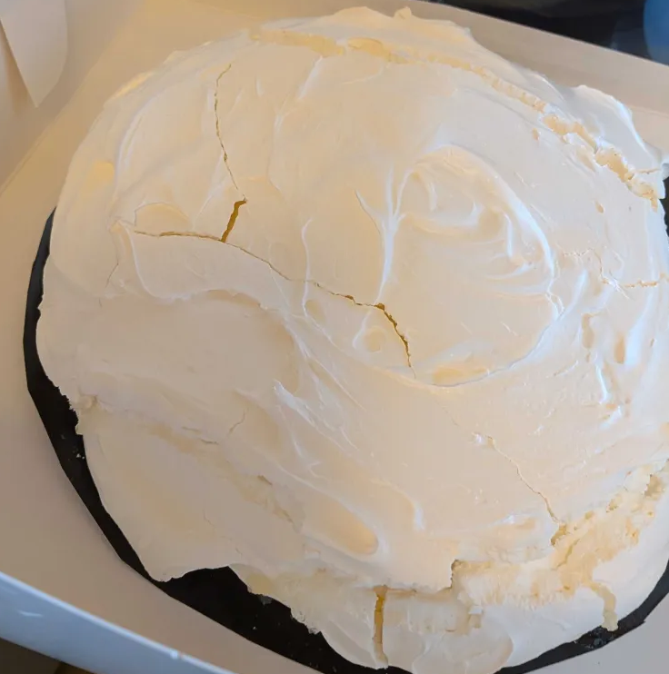 Family Pavlova