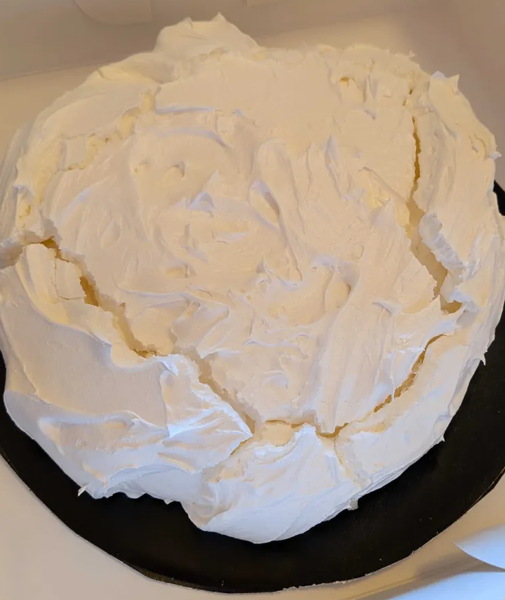 Family Pavlova